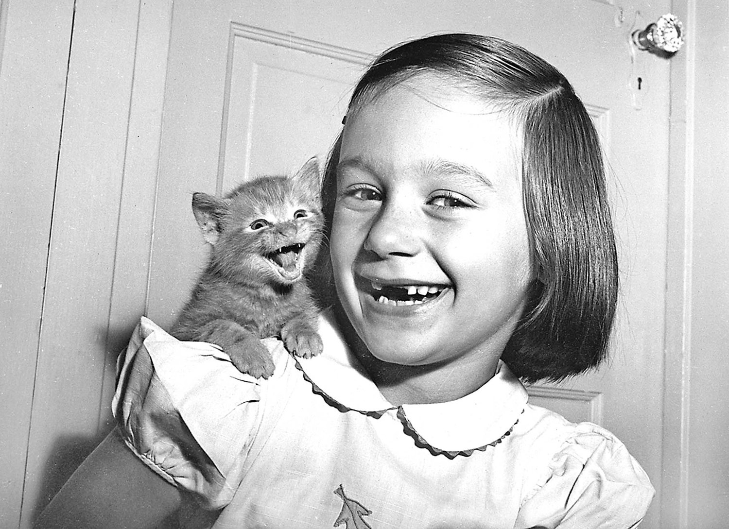 This photograph of a young girl and kitten, both smiling, is by Walter Chandoha.