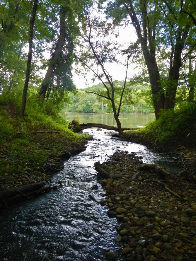 Primrose Creek. Image from the Primrose Creek Watershed Association website.