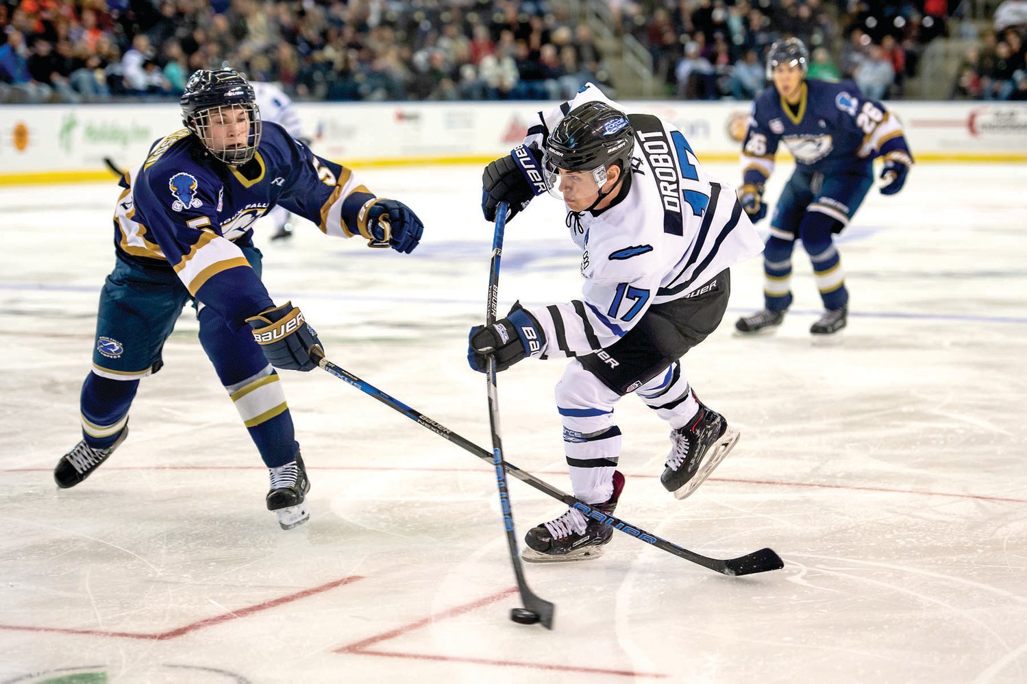 Council Rock South’s A.J. Drobot is captain of the USHL’s Fargo Force. The University of Maine commit scored two goals in Fargo’s two-game sweep of Green Bay last weekend. Photograph courtesy of Fargo Force/MJoy Photography