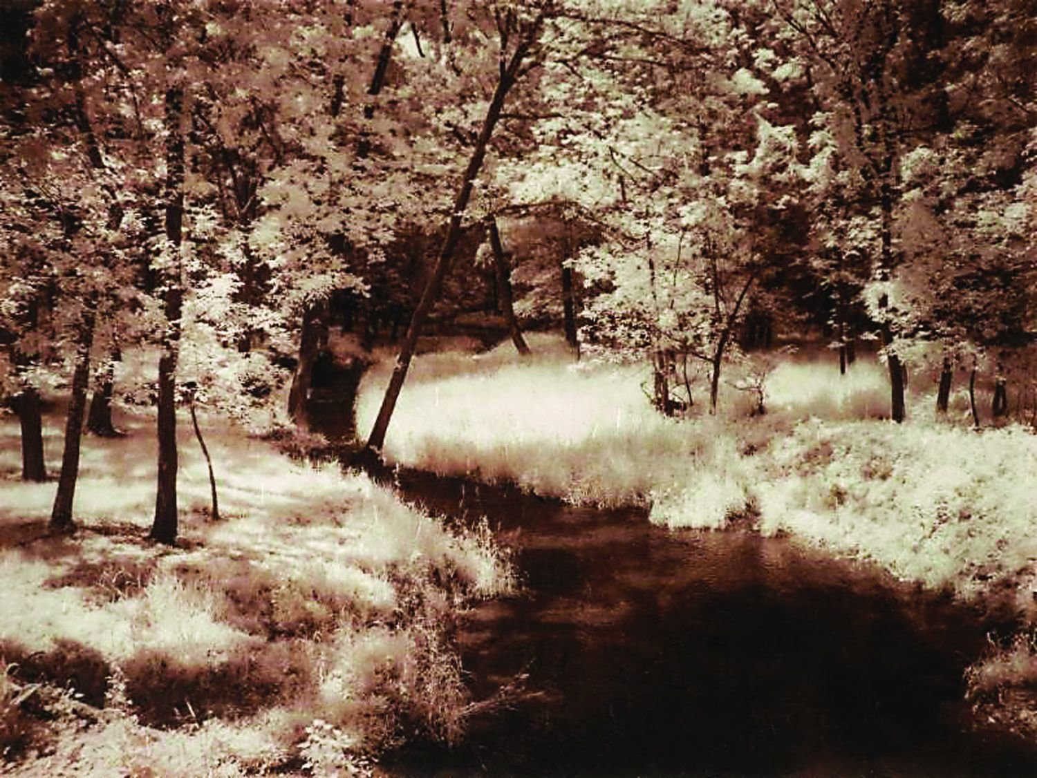 Bucks County landscapes printed on rice paper, by photographer Diane Levell, are featured in a never-before-seen exhibition at the Michener Art Museum.