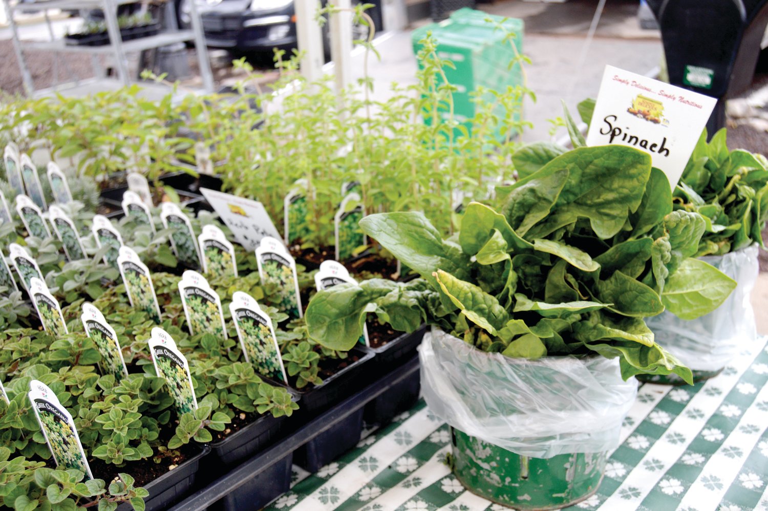 Spinach and fresh herbs were among the early spring crops for sale at the first Doylestown market of the harvest season.
