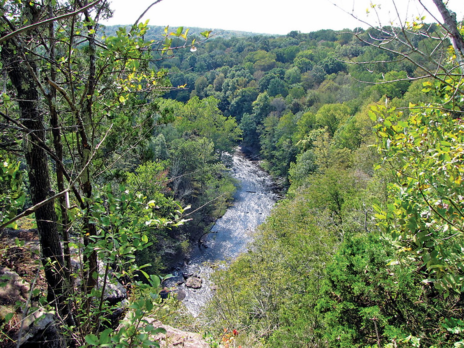 Tohickon Creek is the pathway for whitewater releases from Lake Nockamixon twice a year. It’s been suggested that more frequent releases would enhance the quality of the creek.