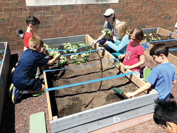 Bridge Valley students plant vegetables.