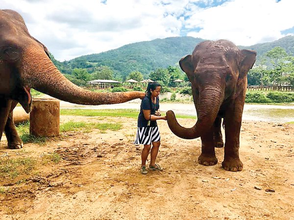 Dr. Jennifer Shelly, a Delaware Valley University faculty member and veterinarian, feeds elephants at a sanctuary in Thailand.