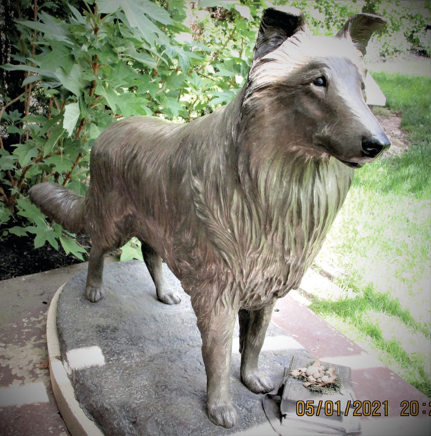 The Lassie sculpture was commissioned by the Michener Art Museum, made possible through a Pennsylvania Legislative Initiative Grant won in 1995.