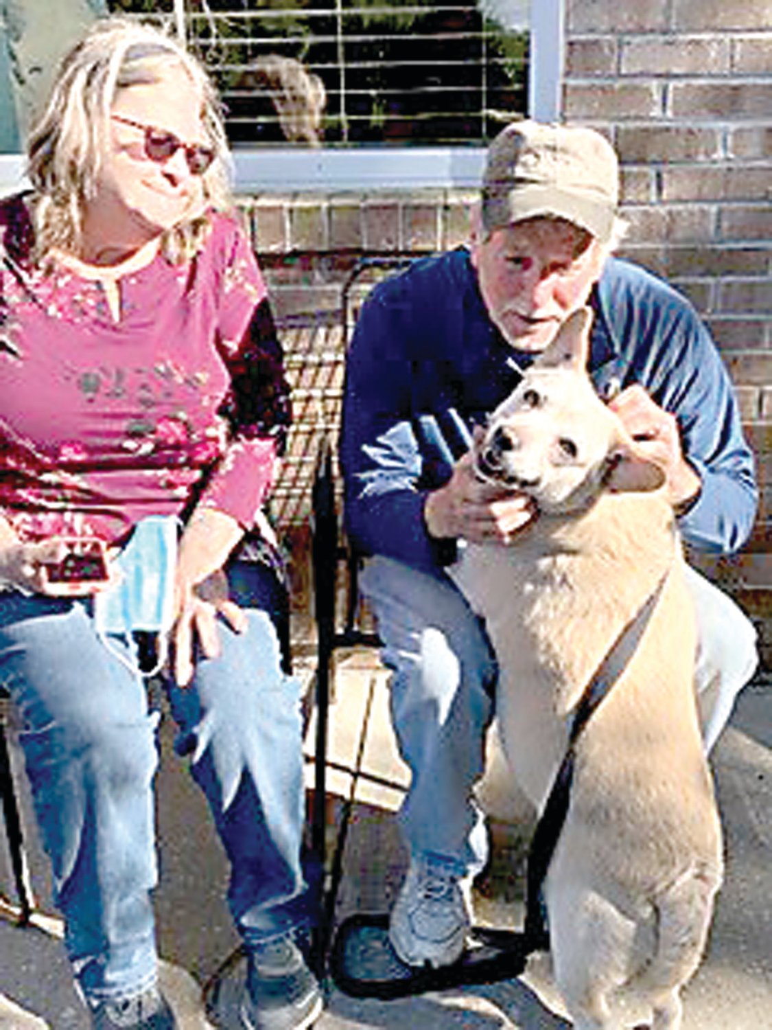 Animal Alliance takes in displaced pets from flooding | The Bucks County  Herald
