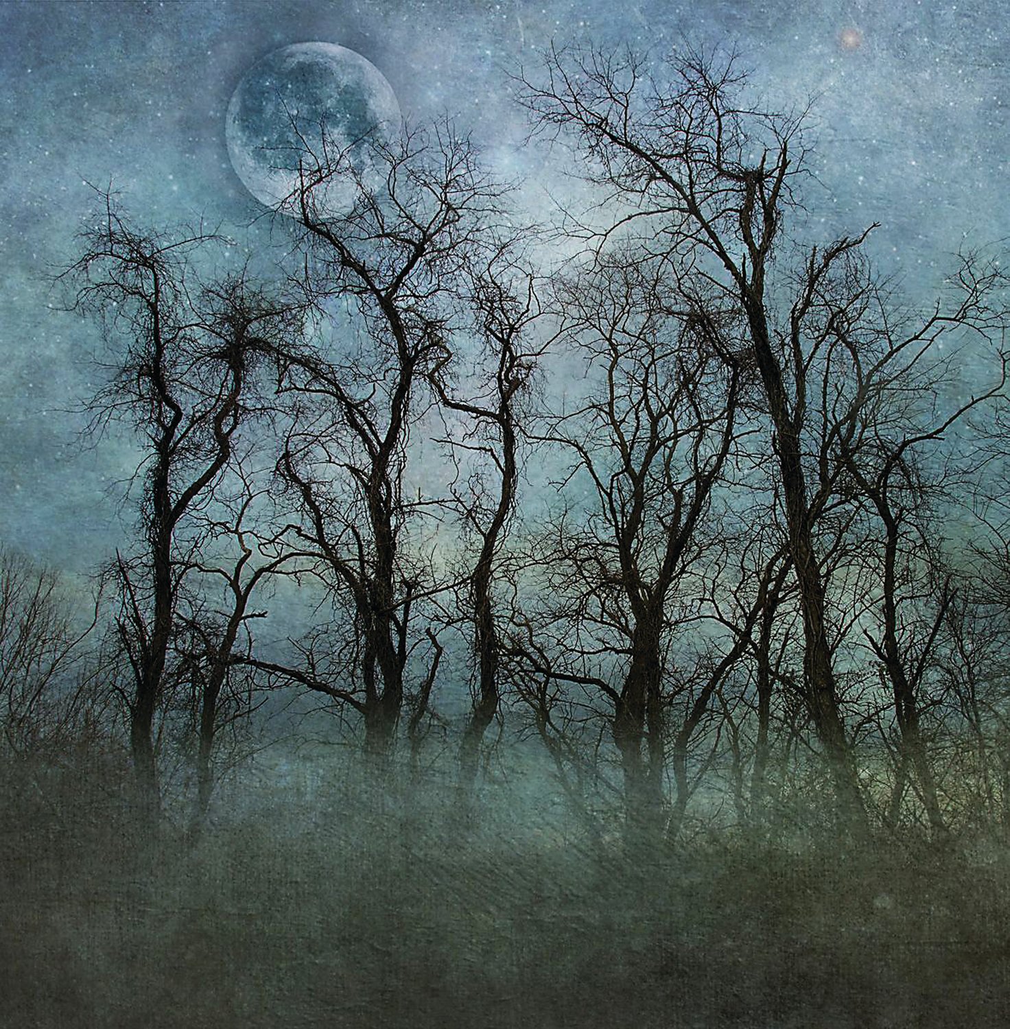 “Moondancing” is a photograph by Nancy Hellmuth, which last year, was paired with “Poem Beginning With Lines From Rumi” by Amy Small-McKinney. Both works explore ideas of darkness and light.