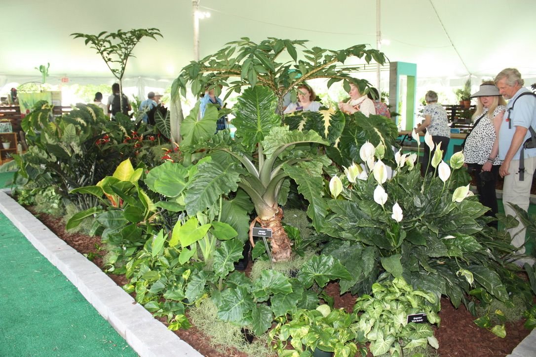 Flower show visitors take in the displays under a shady, open-air tent.