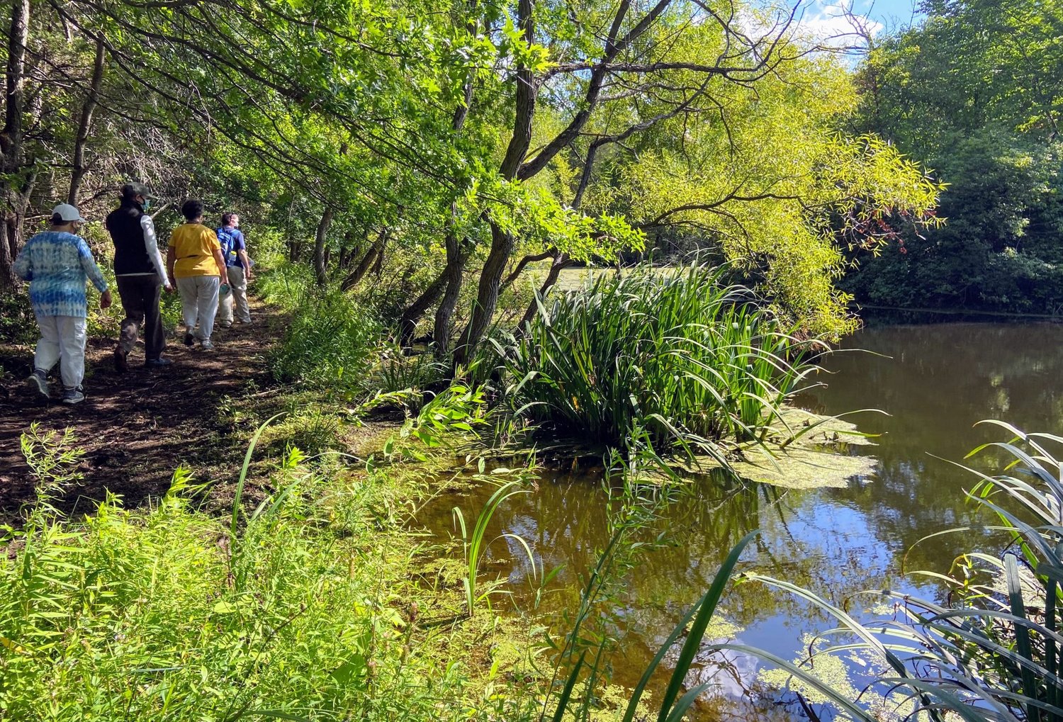 Heritage Conservancy’s Jackson Pond Preserve