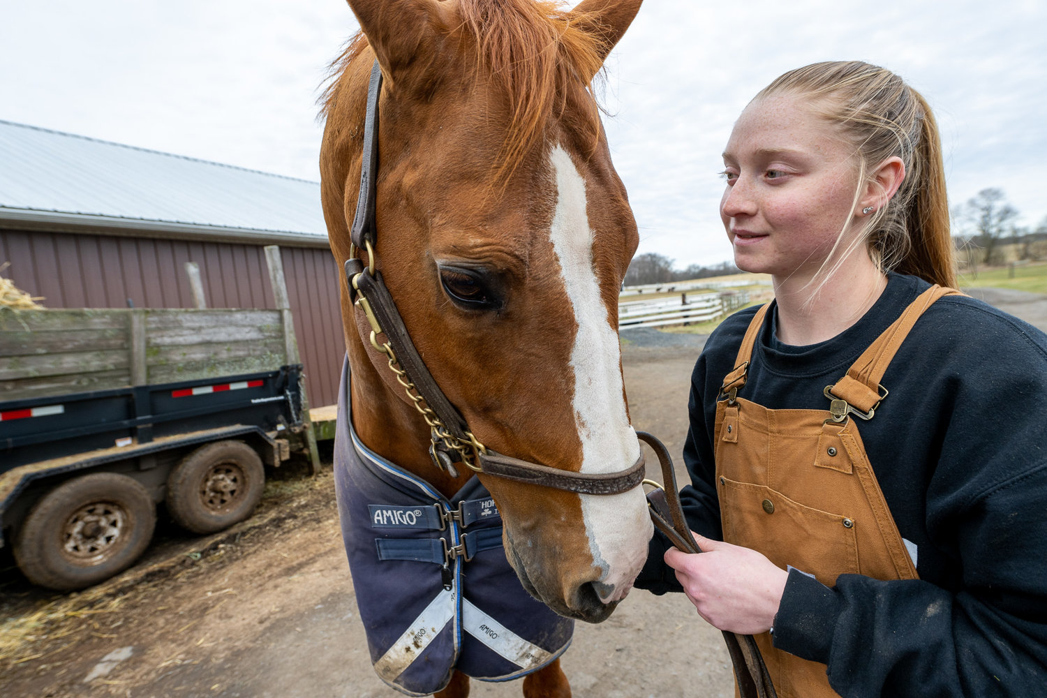 Sierra Ripka, an animal science major, cares for horses from the breeding center at Delaware Valley University.