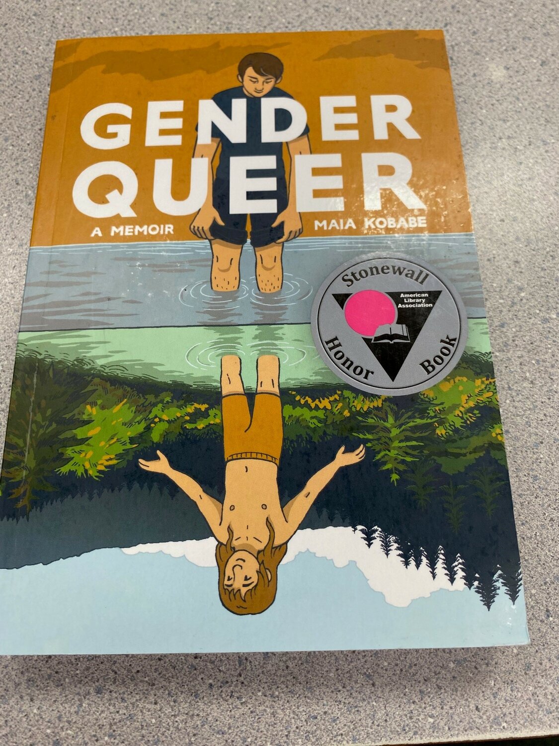 The Central Bucks School District recently removed “Gender Queer” by Maia Kobabe from its libraries.
