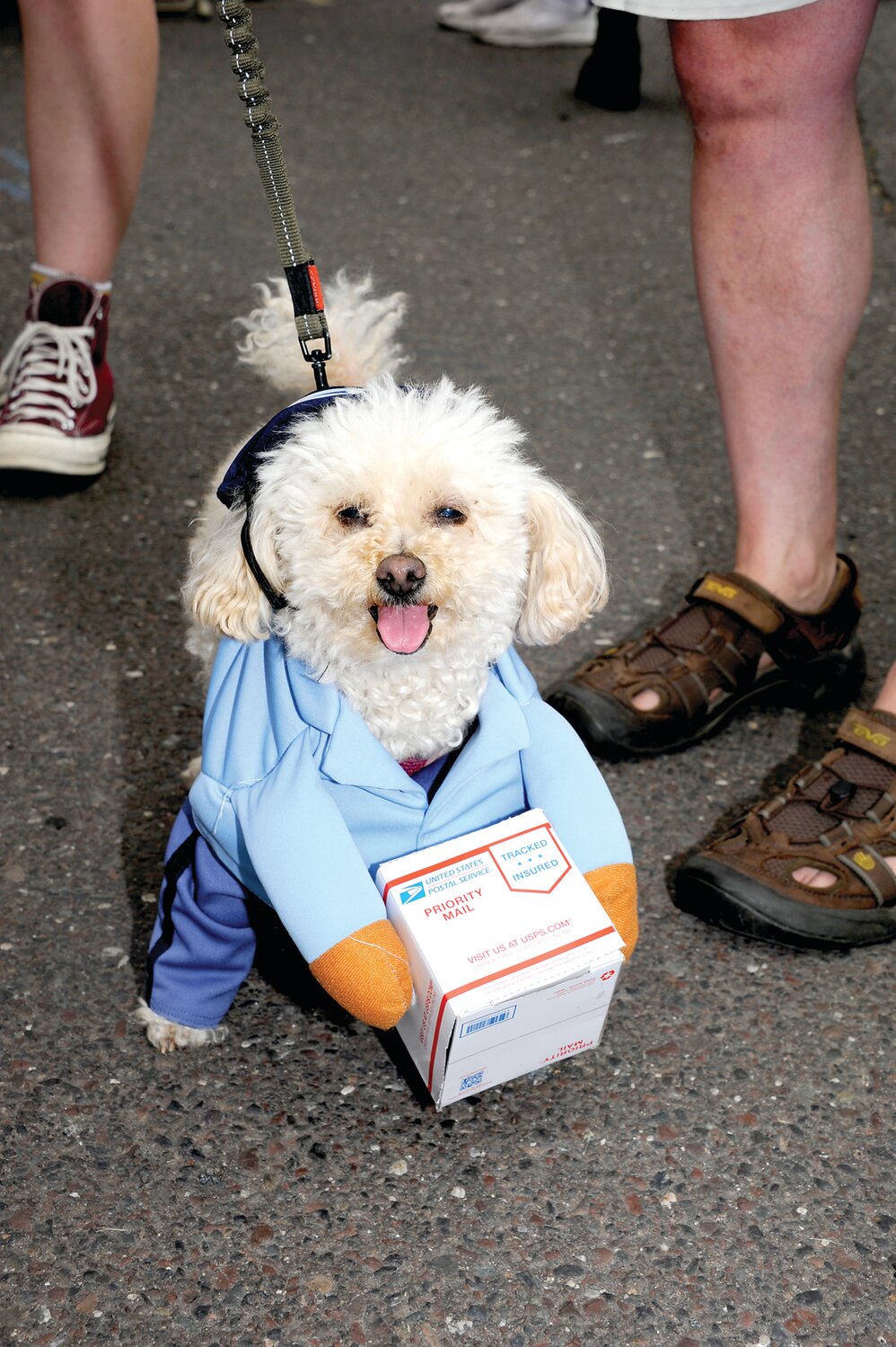 Postal pup Pixie.
