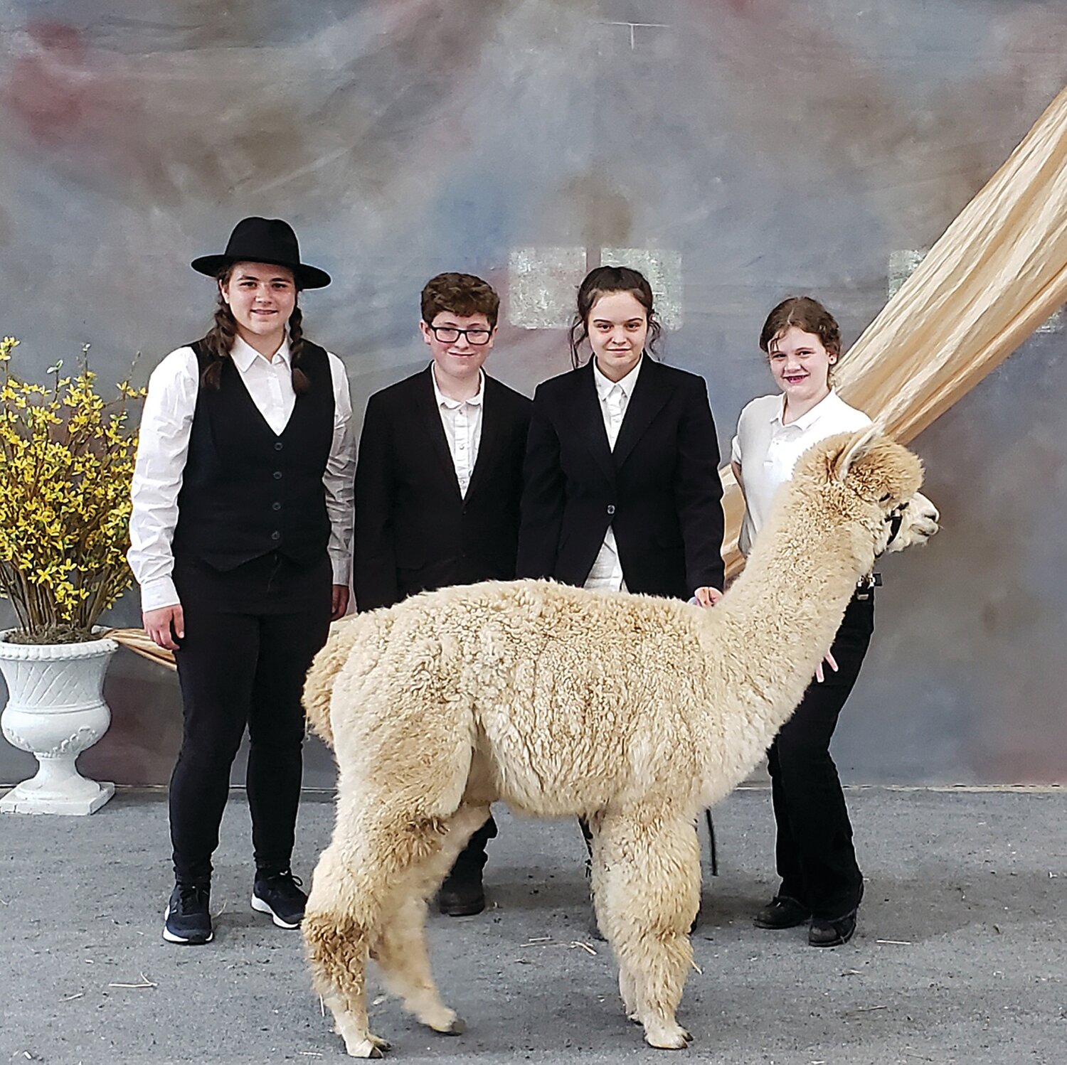At the Mid-Atlantic Alpaca Association Jubilee are, from left, Bryce Snyder, David Dutertre, Layla Cotter and Amelia Sperling with Laramie the alpaca.