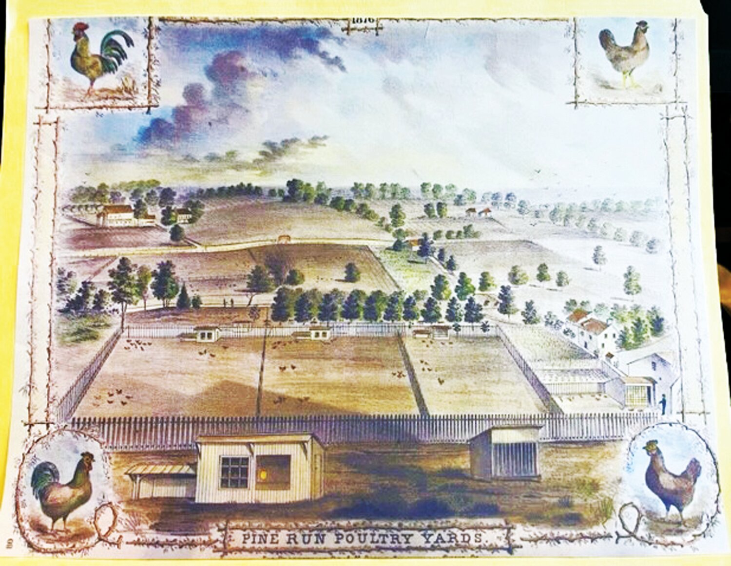 An 1876 image of the Pine Run Poultry Yards in Plumstead Township.