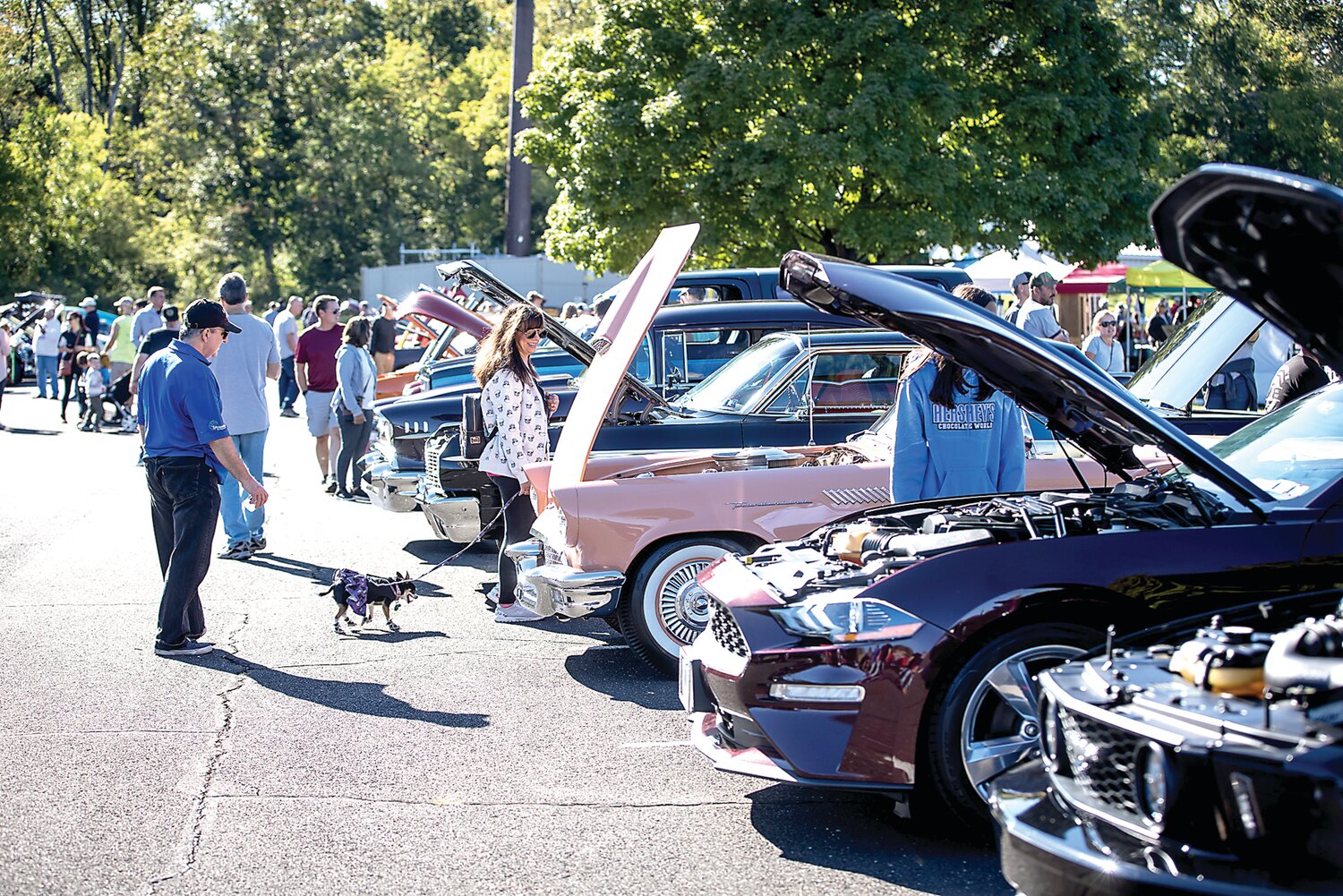 The Car Show for Autism, hosted by Potential, will raise funds to furnish Potential’s Springtime School.